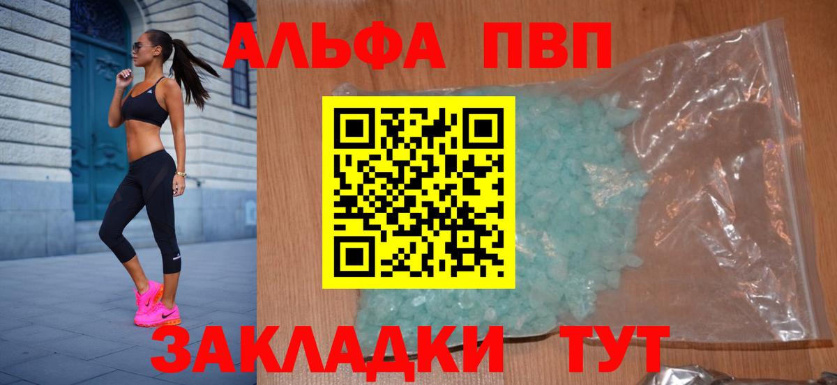 Alfa_PVP СК Североморск