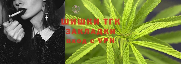 индика Осинники