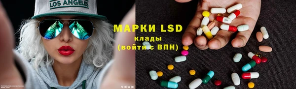 индика Осинники