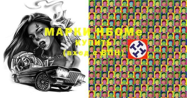индика Осинники