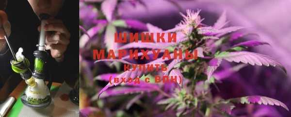 индика Осинники