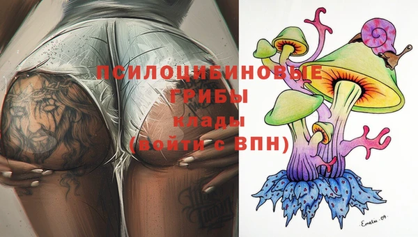 индика Осташков