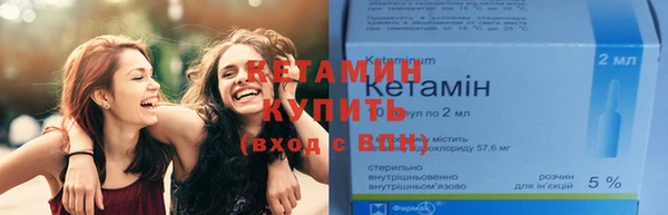 индика Осинники