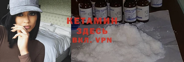 индика Осташков