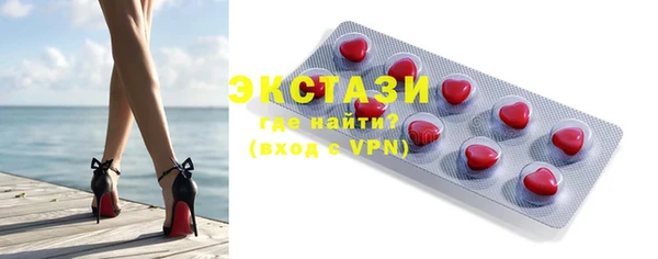 индика Осинники