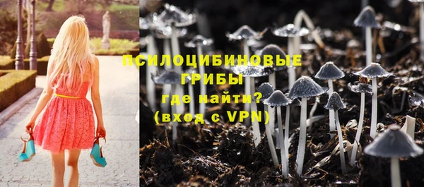индика Осинники