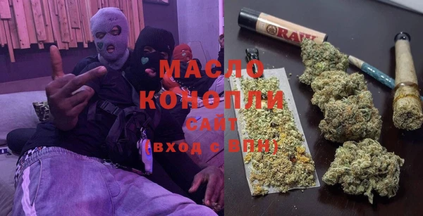 индика Осташков