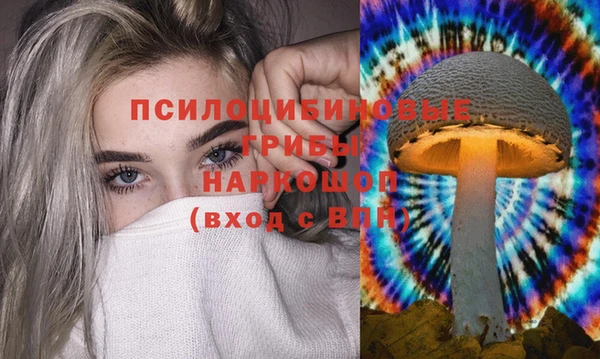 индика Осинники