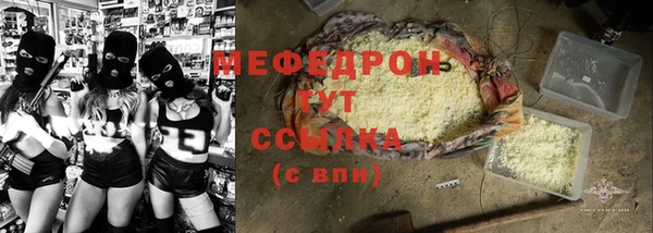 индика Осташков