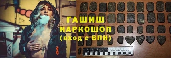 индика Осташков