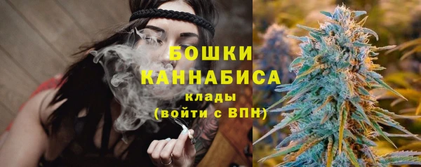 индика Осташков