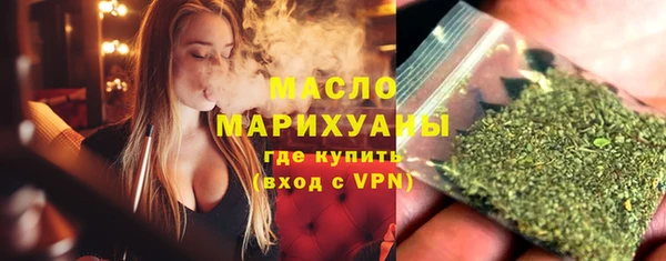 индика Осташков