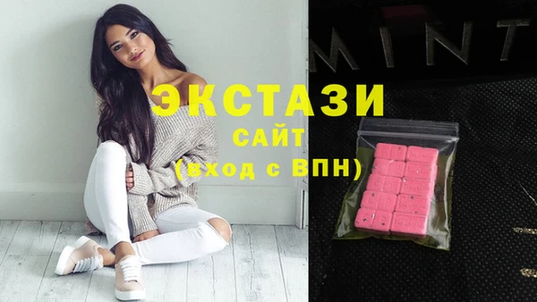 индика Осташков