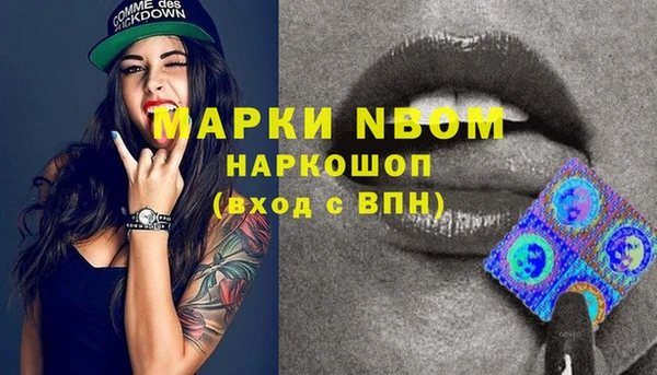 дживик Переславль-Залесский