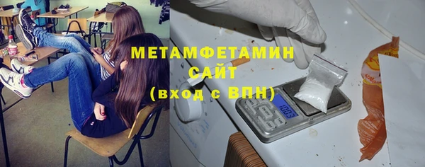 индика Осинники