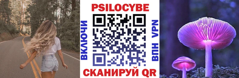 где найти   Североморск  shop телеграм  Псилоцибиновые грибы Psilocybine cubensis 