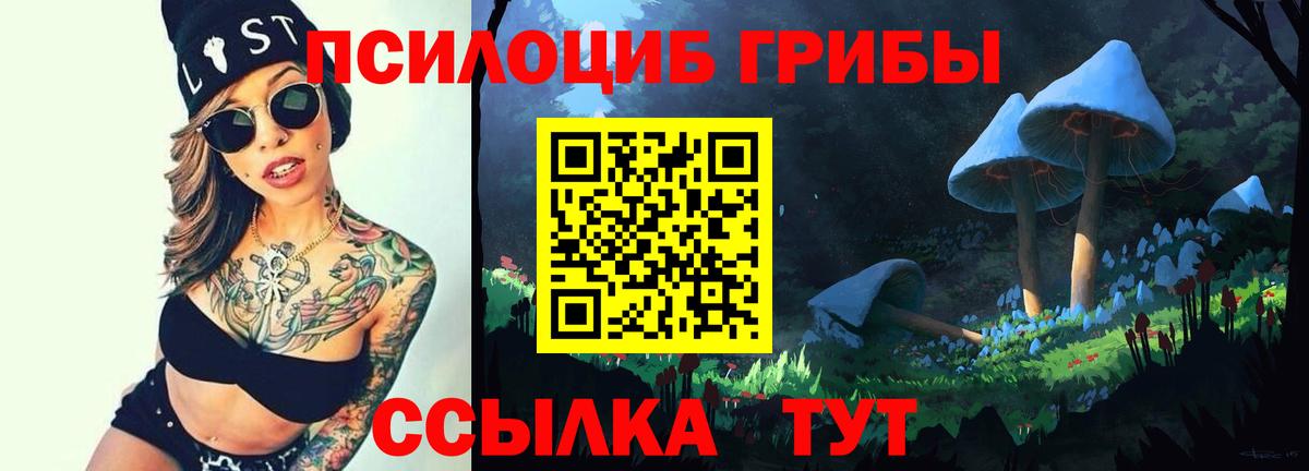 Псилоцибиновые грибы прущие грибы  Вход с VPN  Североморск 