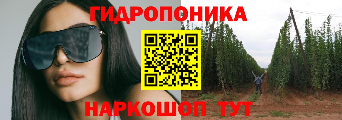 Бошки марихуана тримм  МАРИХУАНА Ganja  Конопля Ganja  Вход с VPN  Шишки марихуана White Widow  Североморск 